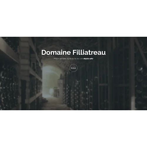 Logo Domaine Filliatreau